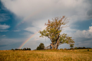 tamron 28 200 test bildber stefanfranke fotografie 005
