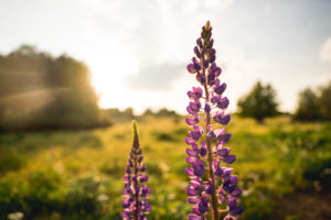 tamron 28 200 test bildber stefanfranke fotografie 006