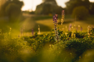 tamron 28 200 test bildber stefanfranke fotografie 007