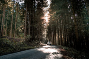 tamron 28 200 test bildber stefanfranke fotografie 026