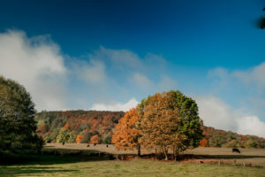 tamron 28 200 test bildber stefanfranke fotografie 028