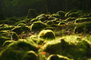 tamron 28 200 test bildber stefanfranke fotografie 030