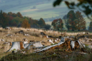 tamron 28 200 test bildber stefanfranke fotografie 033