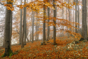 tamron 28 200 test bildber stefanfranke fotografie 034