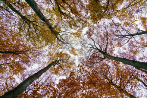 tamron 28 200 test bildber stefanfranke fotografie 036