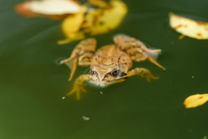tamron 28 200 test bildber stefanfranke fotografie 037