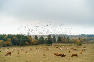 tamron 28 200 test bildber stefanfranke fotografie 038