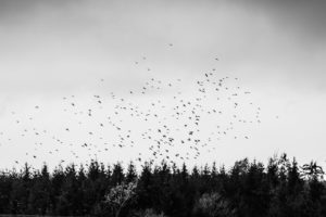 tamron 28 200 test bildber stefanfranke fotografie 039