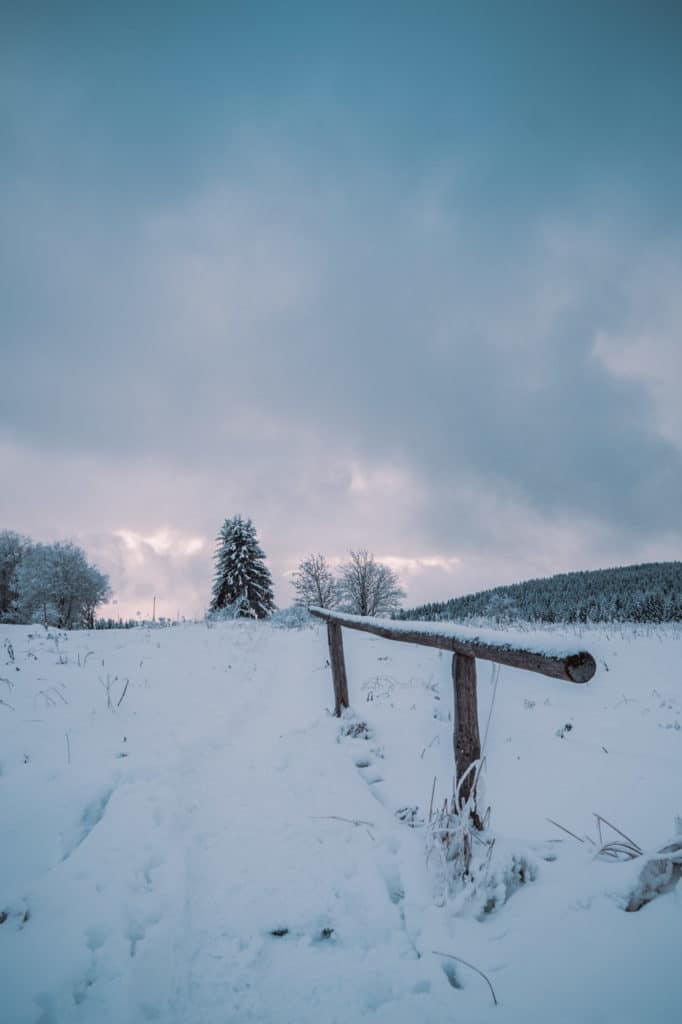 fotografieren im winter 026