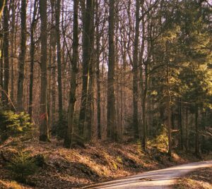 photshop super resolution ausschnitt 03