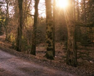 photshop super resolution ausschnitt 04