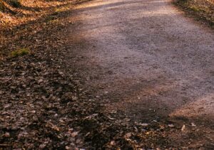 photshop super resolution ausschnitt 05