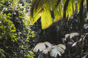 Sony 70 200 GMII SELTC20 Test Erfahrungen DSC03148