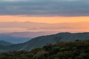 Sony 70 200 GMII Test Erfahrungen DSC03737 HDR