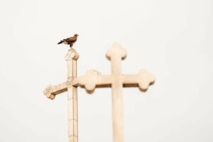 stefan franke fotografie sony 70 200 gmii test 08