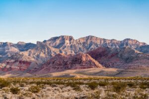 stefan franke fotografie sony 70 200 gmii test 21