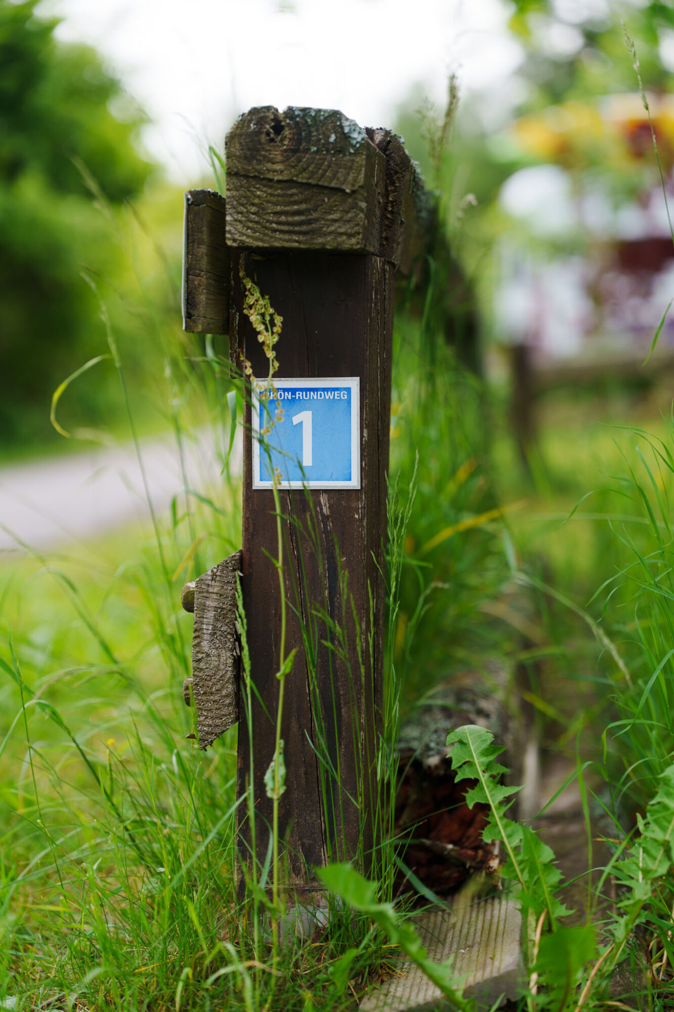 sony sel2870gm test 002