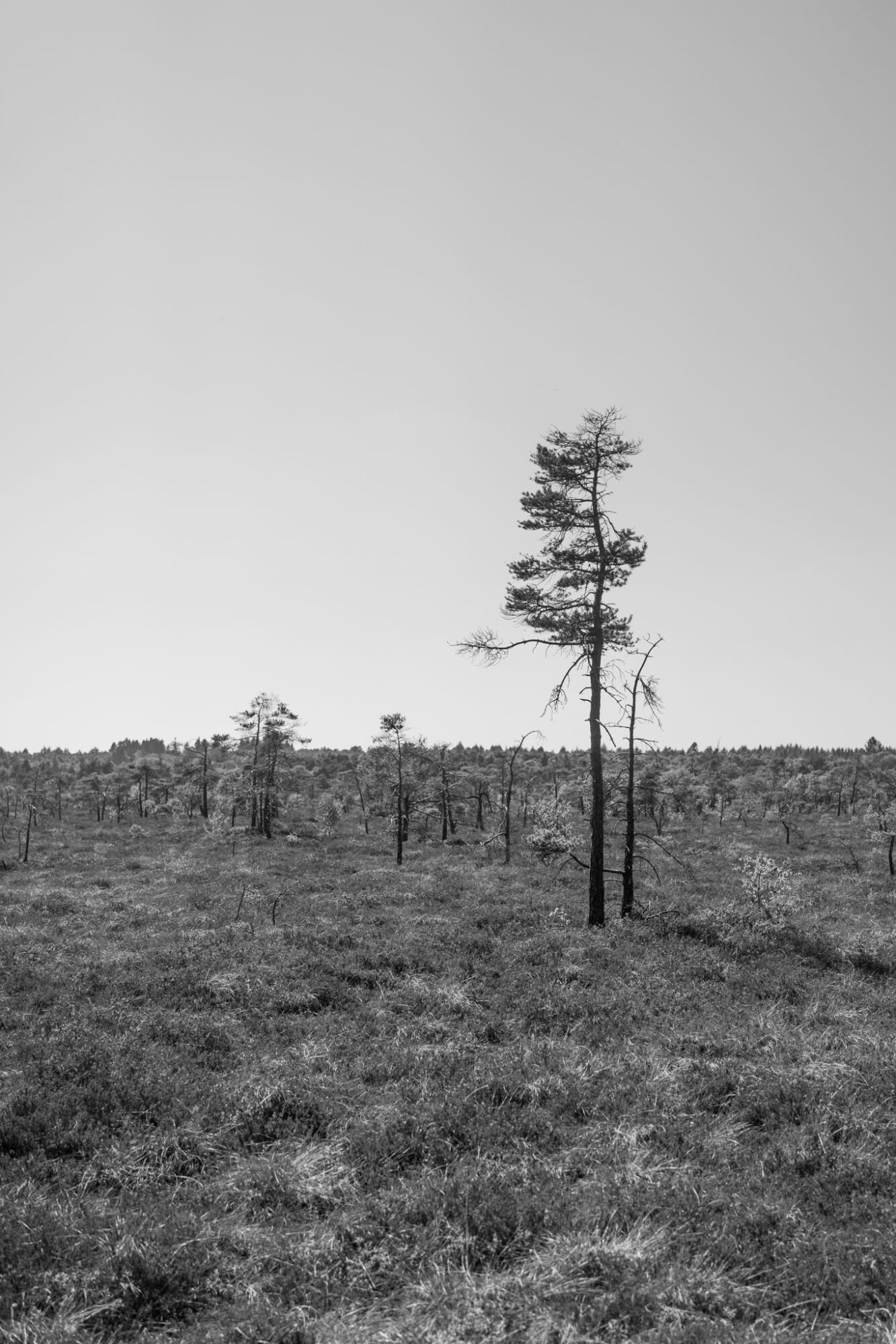 fotografie mentale gesundheit praxis 03