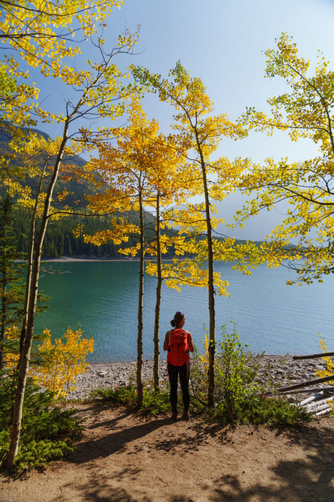 Sony 20-70mm f/4 G im Test: Das ultimative Reisezoom? 23 005 Sony 20 70 Test StefanFranke Fotografie