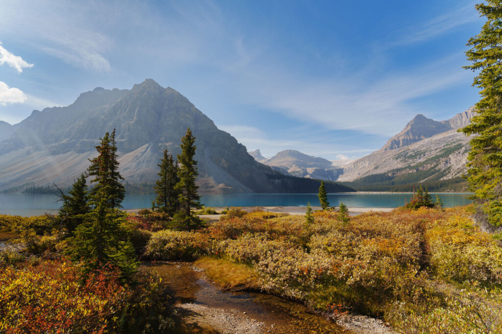 Sony 20-70mm f/4 G im Test: Das ultimative Reisezoom? 10 007 Sony 20 70 Test StefanFranke Fotografie