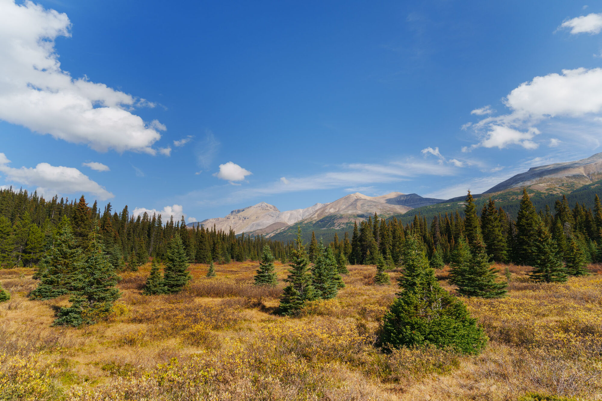 Sony 20-70mm f/4 G im Test: Das ultimative Reisezoom? 12 008 Sony 20 70 Test StefanFranke Fotografie