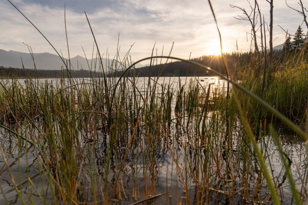 Sony 20-70mm f/4 G im Test: Das ultimative Reisezoom? 18 016 Sony 20 70 Test StefanFranke Fotografie