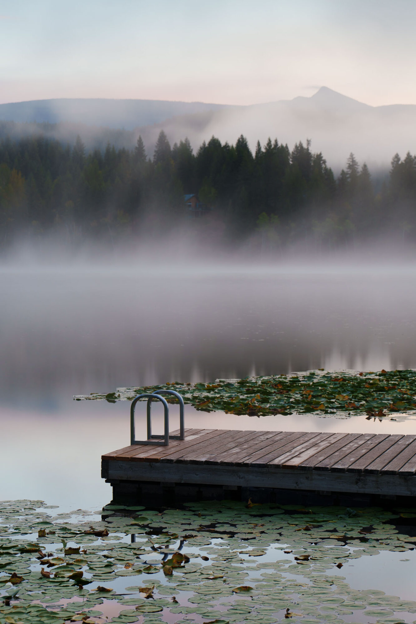 Sony 20-70mm f/4 G im Test: Das ultimative Reisezoom? 15 019 Sony 20 70 Test StefanFranke Fotografie