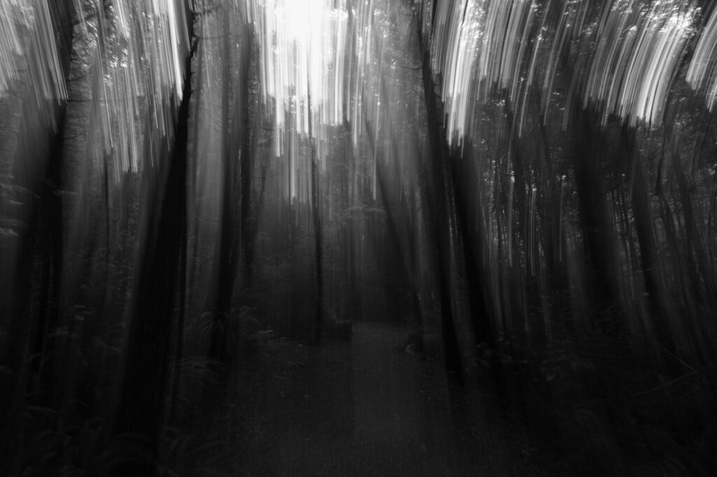 Sony 20-70mm f/4 G im Test: Das ultimative Reisezoom? 21 030 Sony 20 70 Test StefanFranke Fotografie