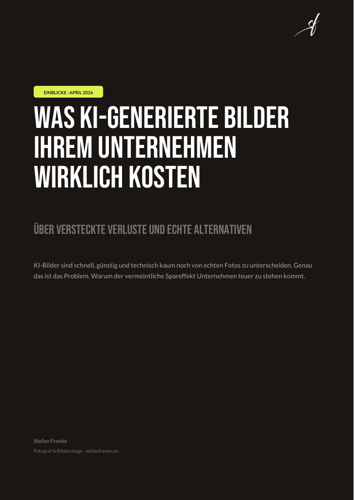 PDF-Cover: Was KI-generierte Bilder Ihrem Unternehmen wirklich kosten, B2B-Paper von Stefan Franke